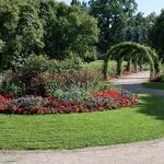 Svandammen & Stadsträdgården