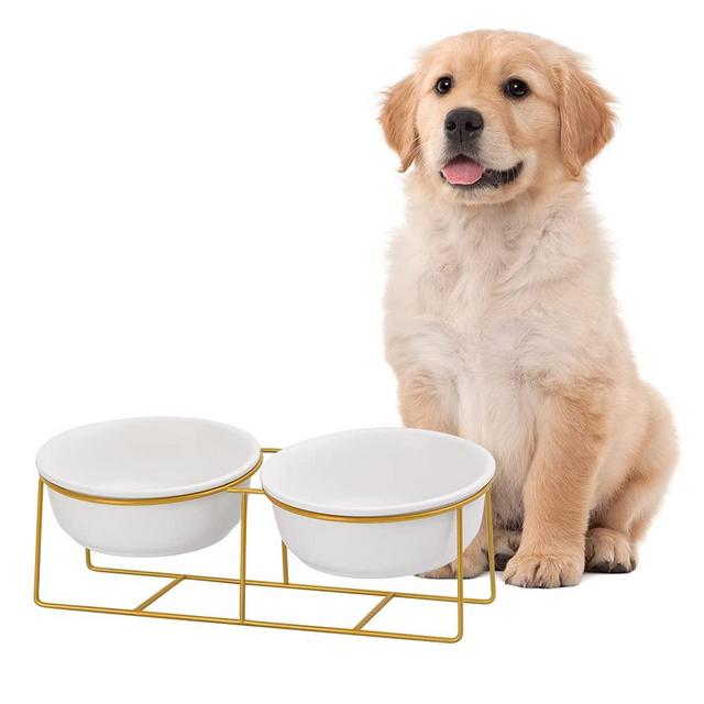 Large Small Double Elevated Dog Bowls - Raised Dog Bowl - Ceramic Dog Cat Bowl Set for Food and Water - Pet Comfort Feeding Bowls with Gold Iron Stand