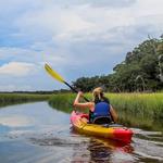 Amelia Island Kayak Excursions