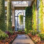 Longwood Gardens