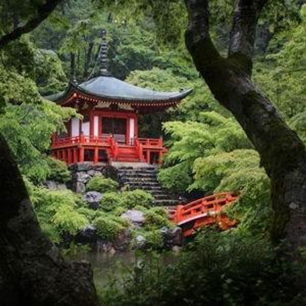 Honeymoon in Japan 🇯🇵