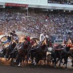 Calgary Stampede