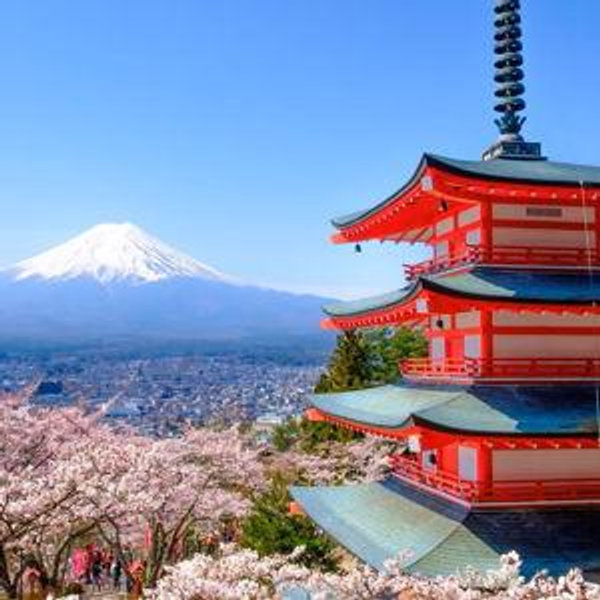 Honeymoon to Japan