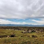 Bluffs Regional Park Trail