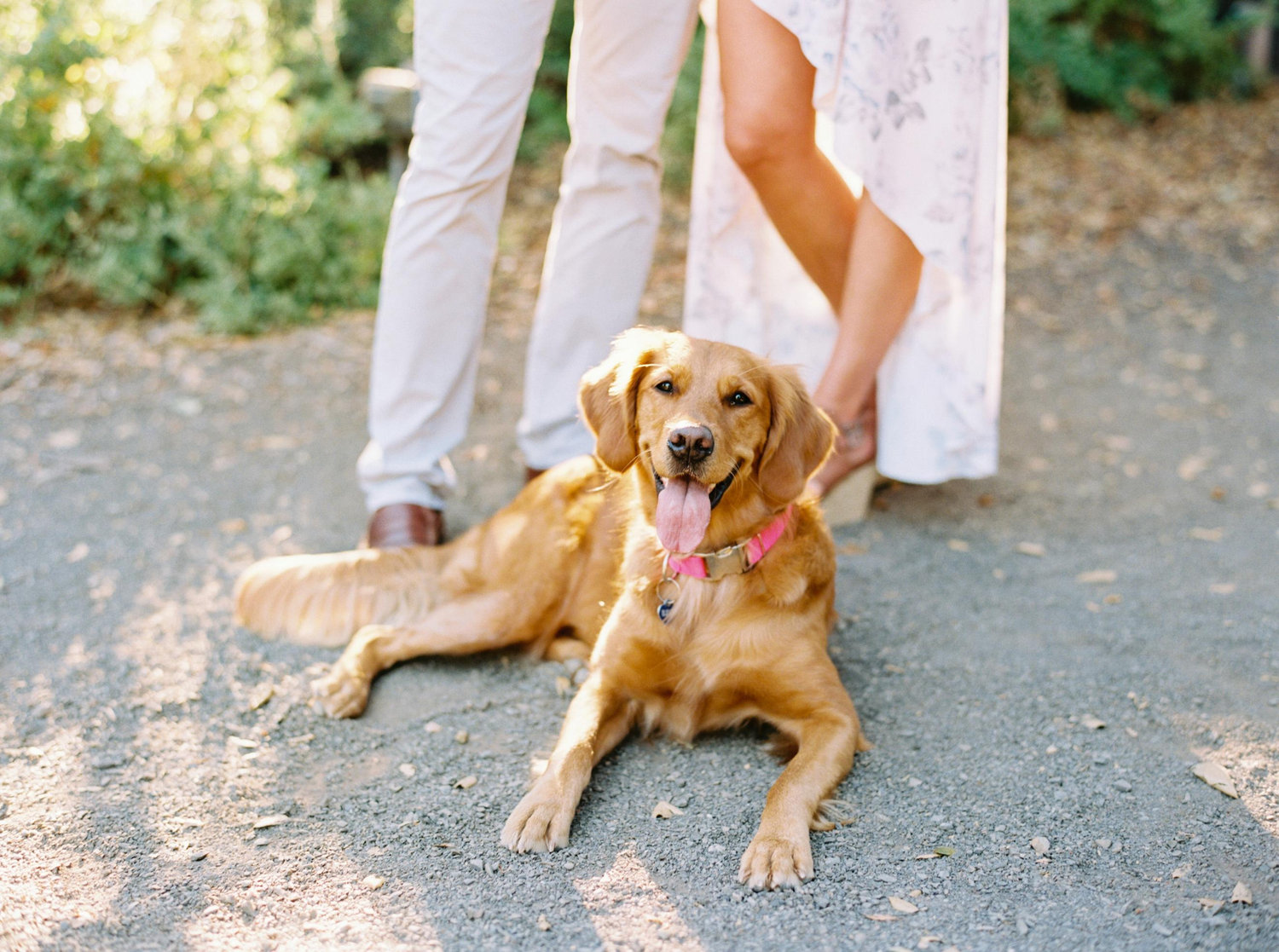 The Wedding Website of Caitlyn Rae Burlas and Jason Matthew Kotun