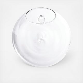 Large Clear Glass Wall Planter
