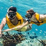 Snorkeling in El Meco Reef and then a 3 hour excursion on Isla Mujeres, transportation included
