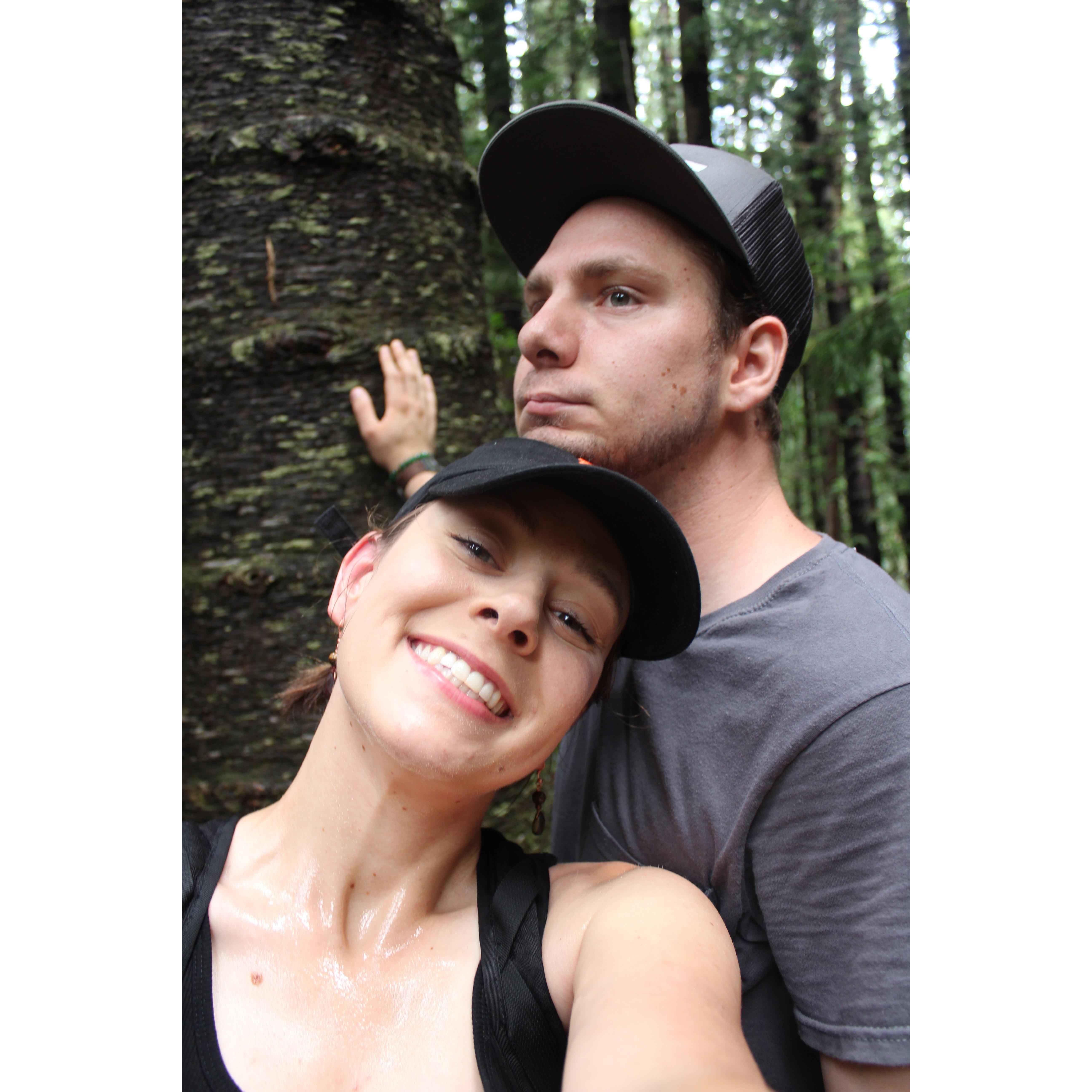 Jason was distracted by the knots on the trees