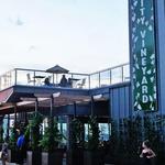 City Vineyard
