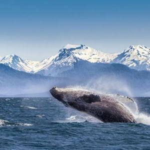 Down Payment/Honeymoon Fund
