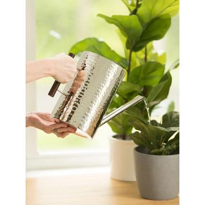 Gardener's Supply Company Stainless Steel Watering Can | Stylish and Modern Design with Easy Grip Wooden Handle & Long Spout to Prevent Spillage |