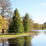 Shelby Park