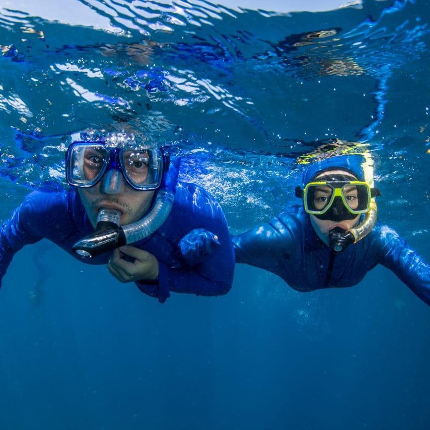 Snorkeling at the Great Barrier Reef in Cairns, Australia 2020!