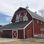 Domino’s Farms Petting Farm