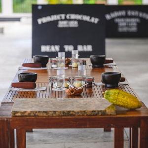 Chocolate Making Workshop