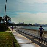 Stroll Beautiful Bayshore!