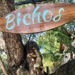 Bichos