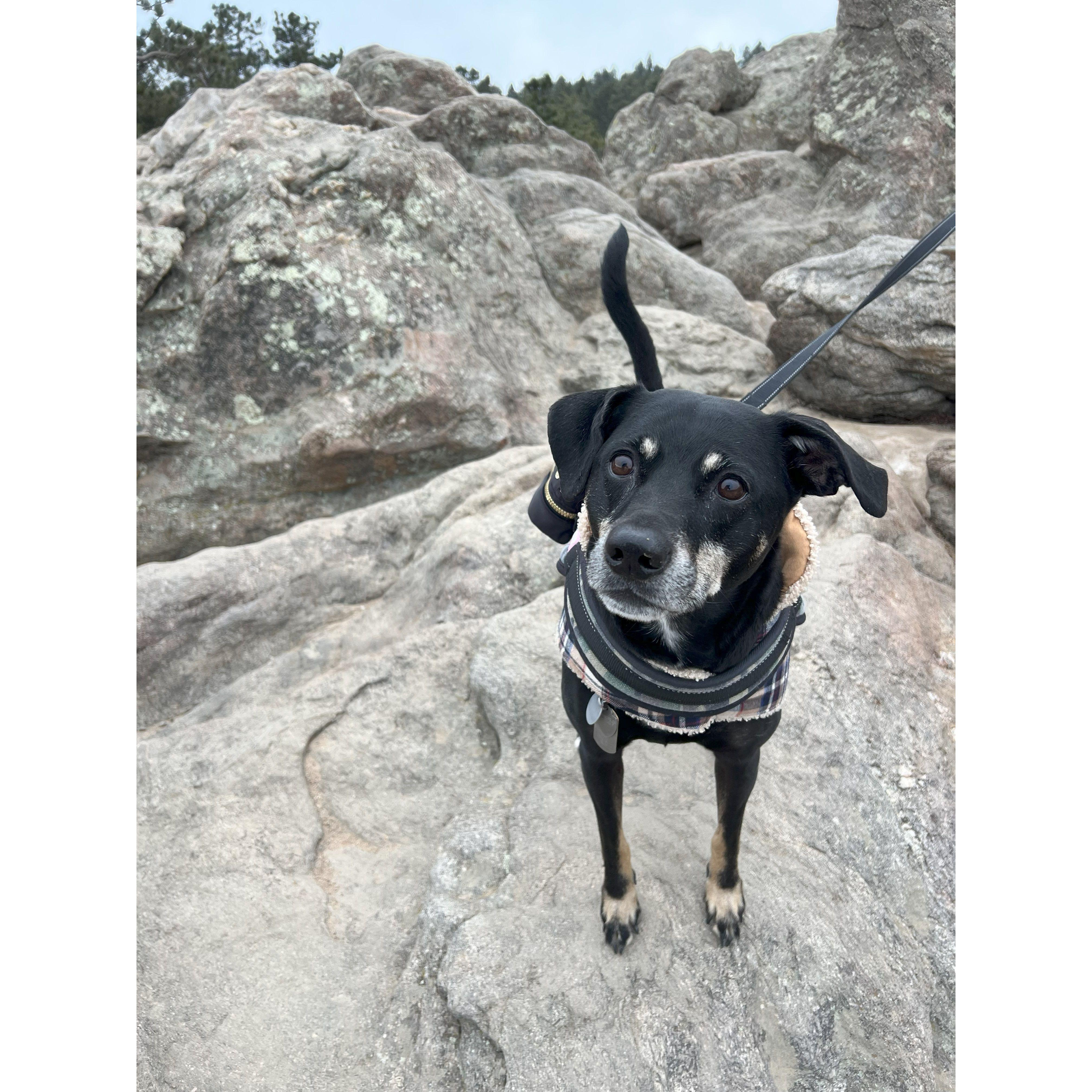 Sneaky little boy knew the whole time!