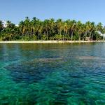 Diving and Snorkeling Plans From Panama City