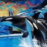 Sea World