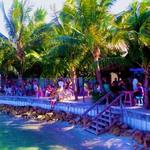 Square Grouper Tiki Bar Jupiter Inlet