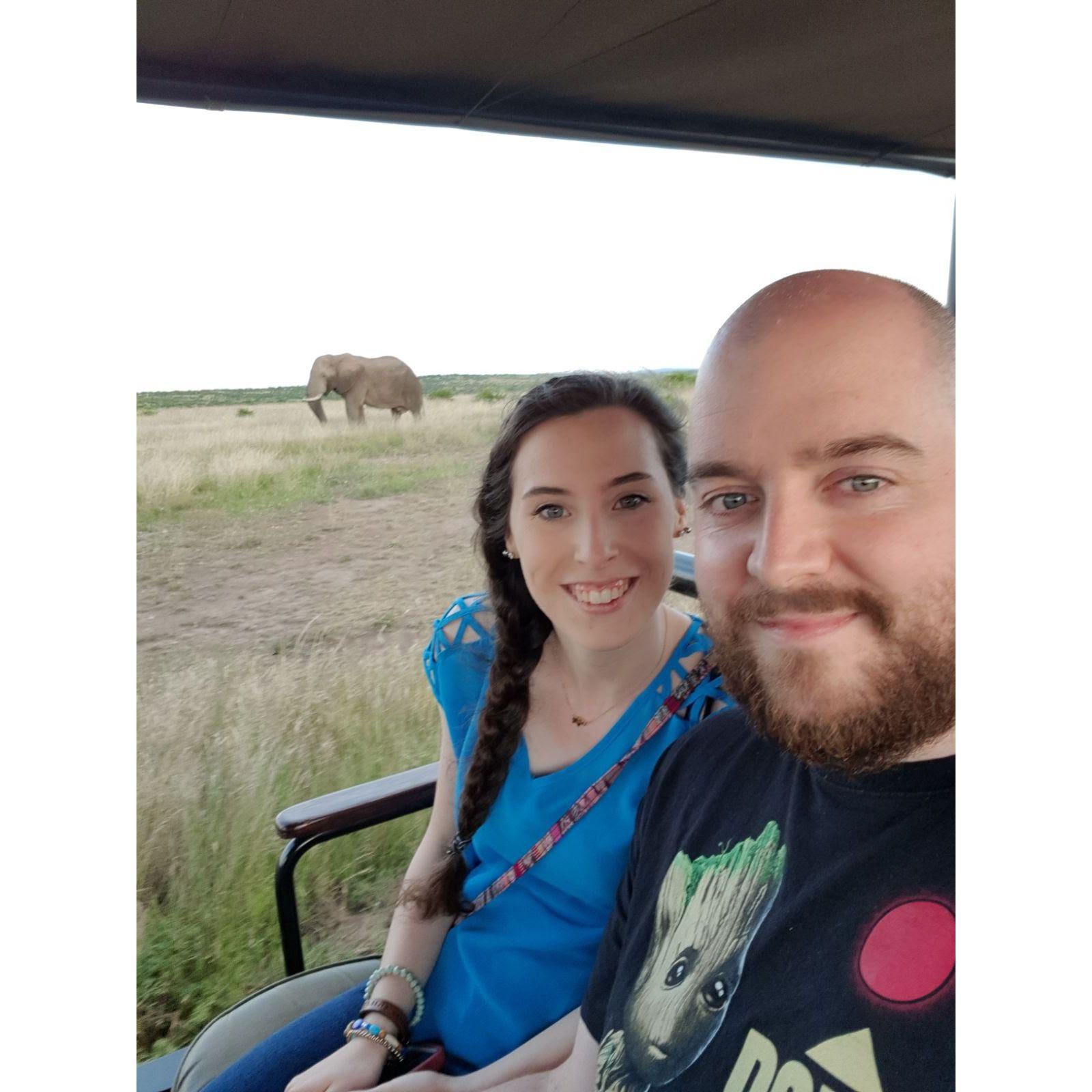 Safari in South Africa