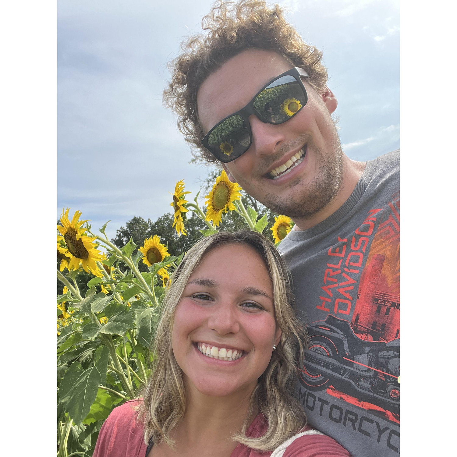 Sunflower Picking August 2022