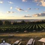 Lightfoot & Wolfville Vineyards