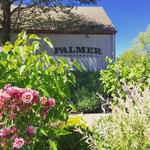 Palmer Vineyards