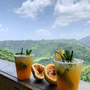Tropical Drinks in Paradise