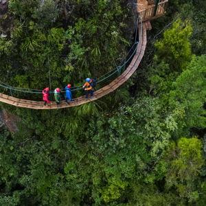 Rotorua Canopy Tour