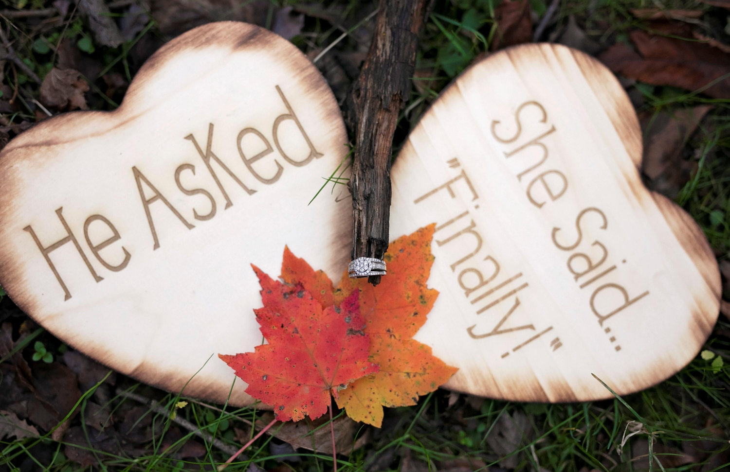 The Wedding Website of Jazzman Parker and Gregg Kaat