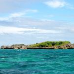 Crocodile Island