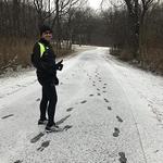 Lake of the Woods Forest Preserve