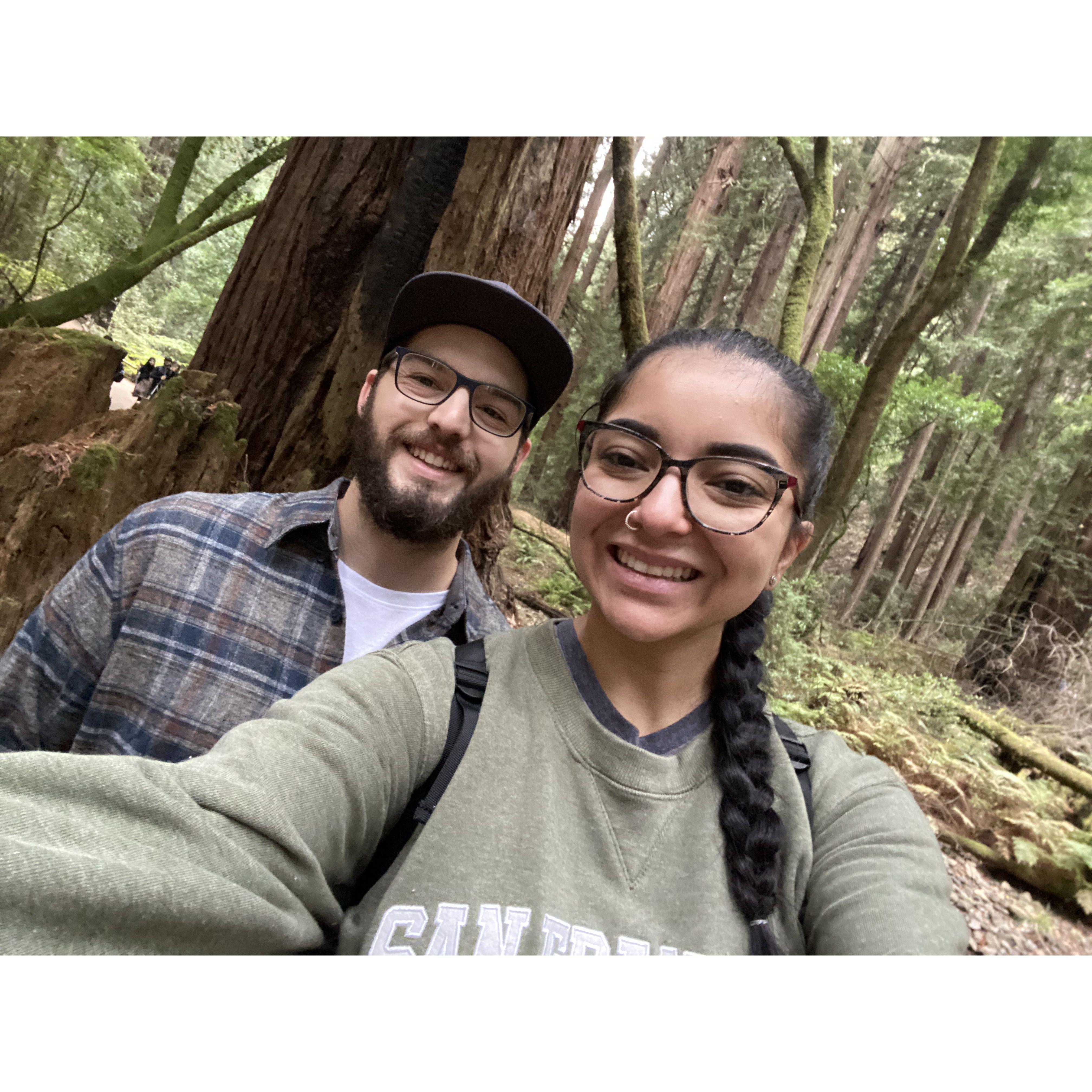 Muir Woods