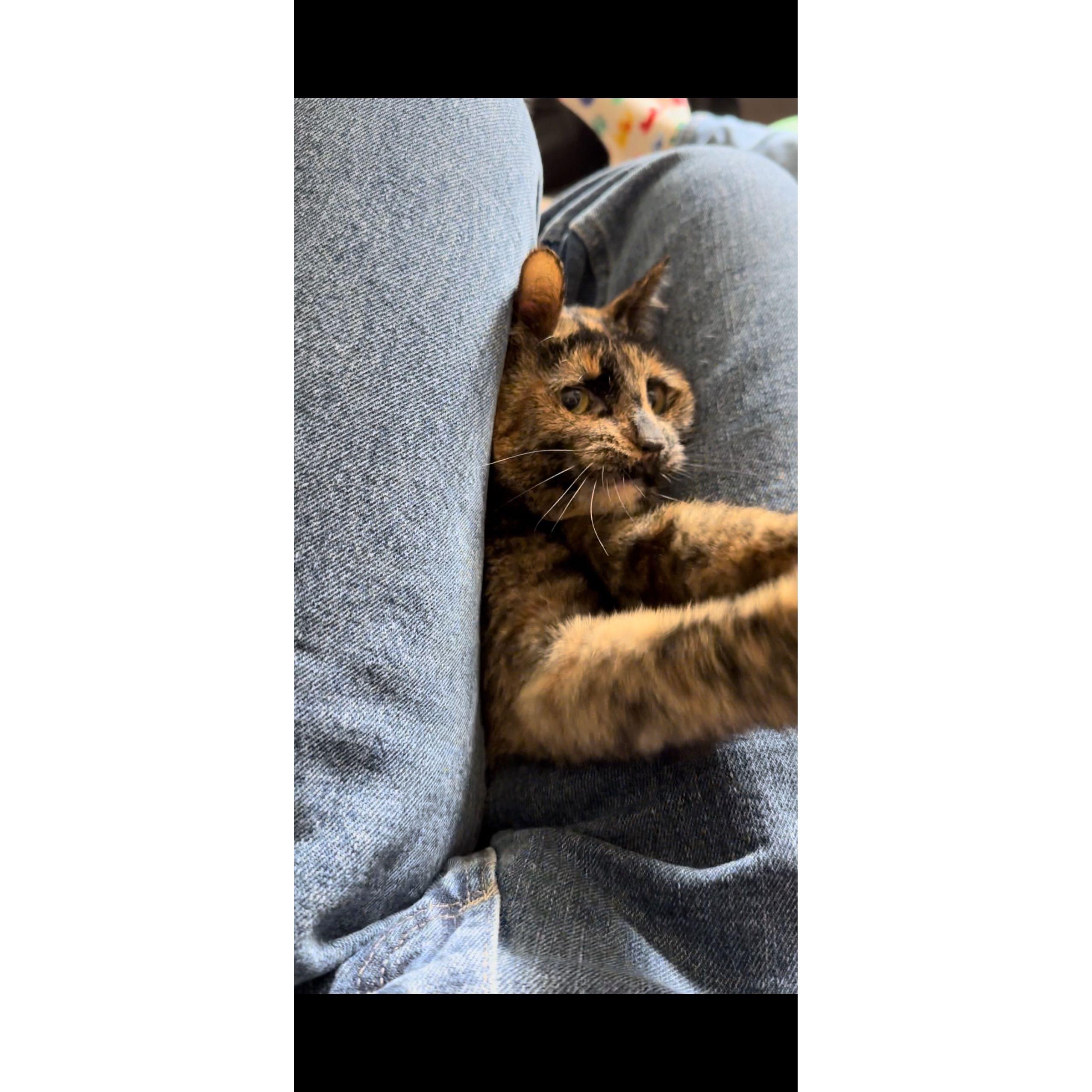 ATTACK