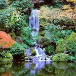 Portland Japanese Garden