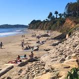 Butterfly Beach