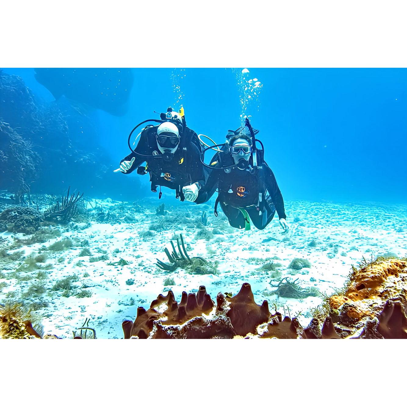 Scuba Diving 2024 Mexico