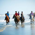 Seabrook Island Equestrian Center