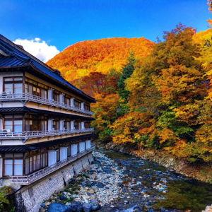 Honeymoon Accomodations