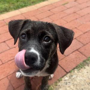A Gift of Second Chances
