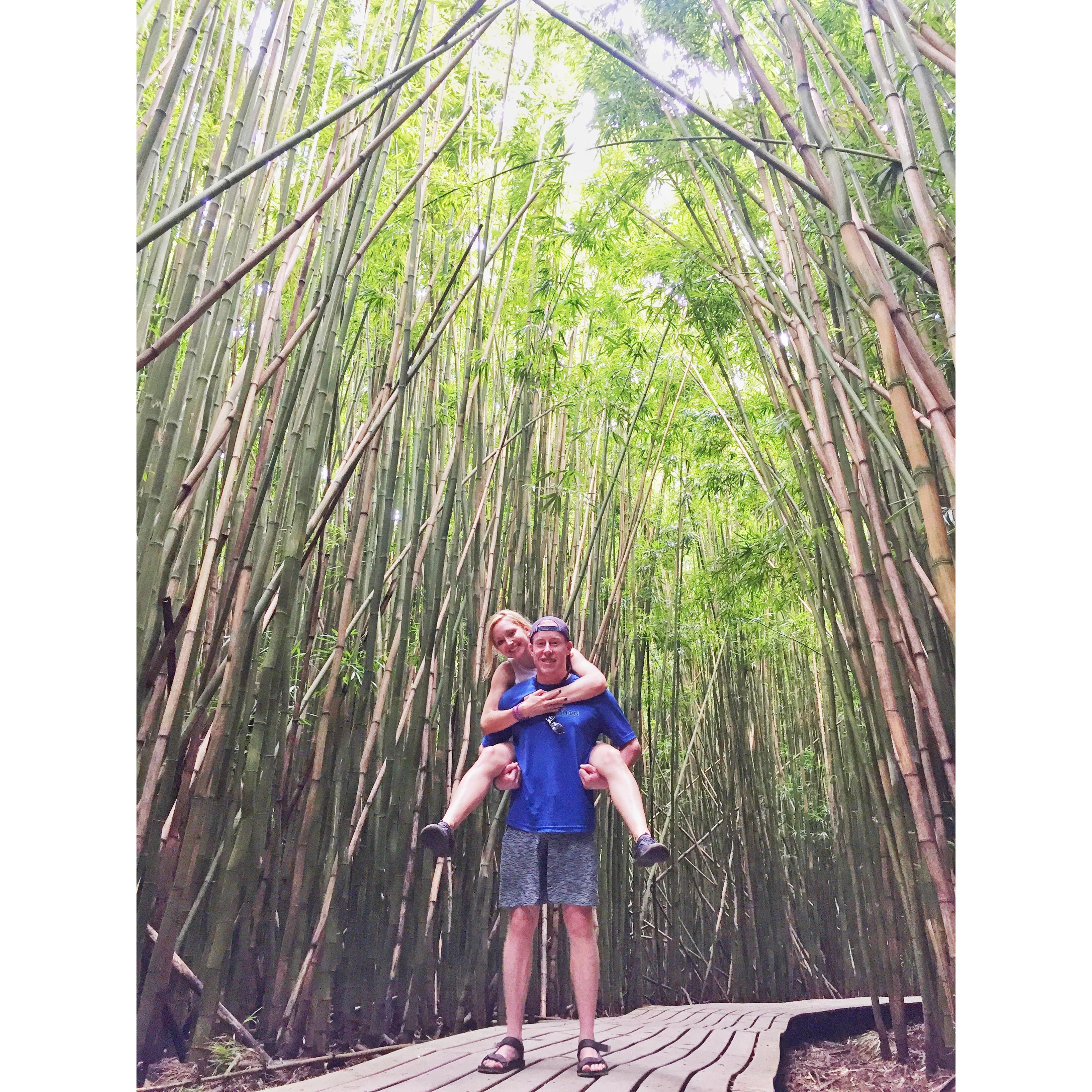 Hana Forest Reserve in Maui