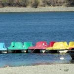 Shadow Cliffs Lake
