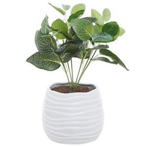 5.5 Inch White Ceramic Wavy Design Plant Flower Planter Container Pot / Decorative Centerpiece Bowl Vase