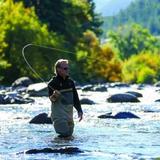 Guided Fly Fishing
