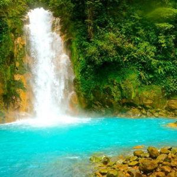 Honeymoon Adventures: Wildlife Hiking Tour