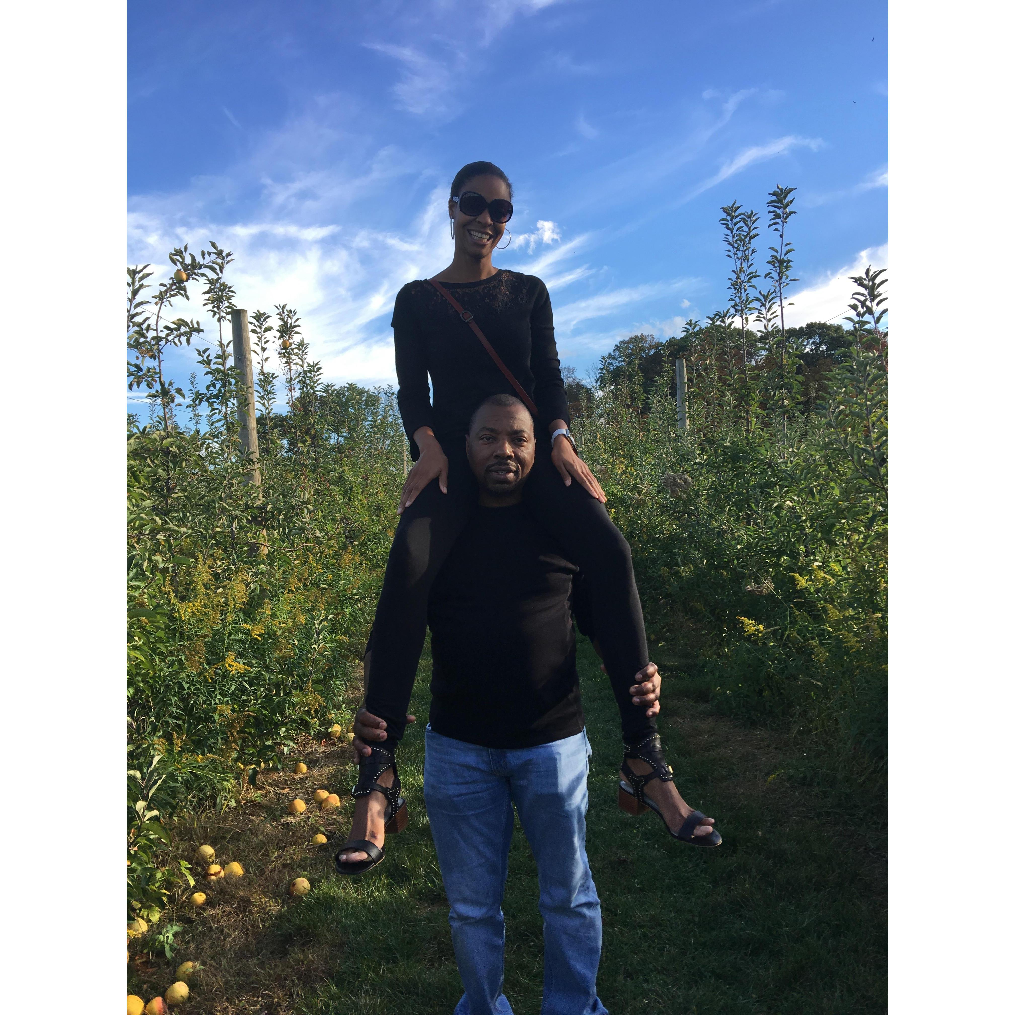 Apple picking in Princeton