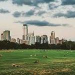 Zilker Park