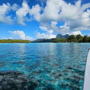Lagoon tour and snorkeling on our Honeymoon!